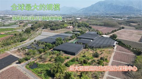 泰和龍泉墓園|泰和龍泉墓園, 電話 08